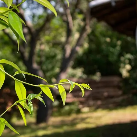Clay House Holiday home Banya (Burgas)